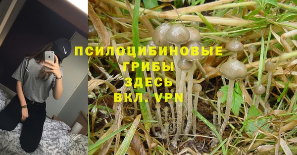 дживик Богородицк