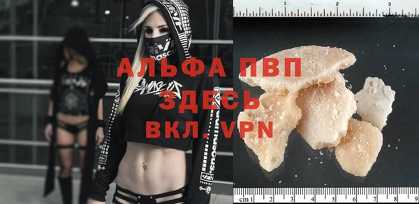 дживик Богородицк
