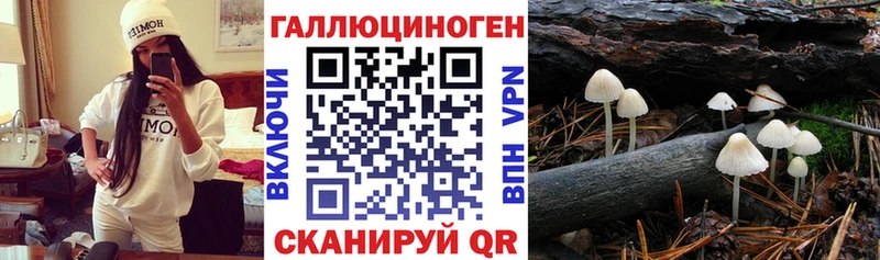 Псилоцибиновые грибы GOLDEN TEACHER Кущёвская